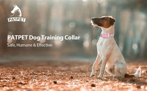 patpet training collar reviews